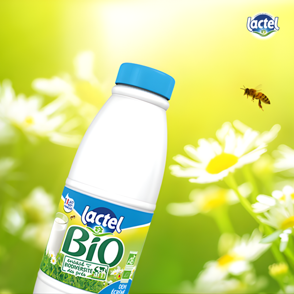Lactel 3