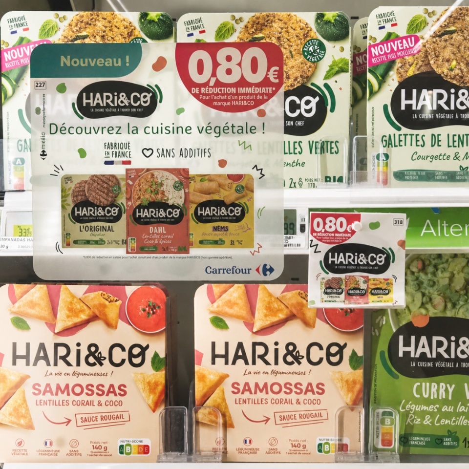 Hari&Co 3