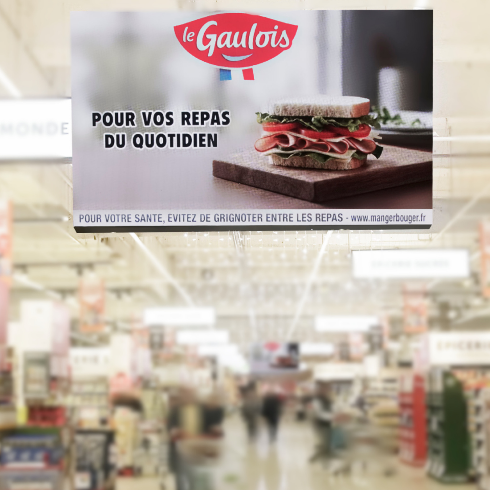le gaulois 2